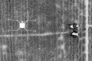 �ӱ���̨��Ϊͳ��ͳ�β��Ϸ���ĳ��