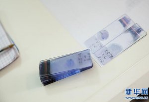 ������֮��������ħ�ˡ����Ƿ��޿�űս���ϵĹ㶫�Ŷ�