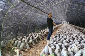 ���ϲм���ƶ�����ϴ�֧�� �Ľ�����¥���䡰��¥��