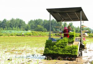 ���ϻ�����С��ˮ���Ӳ���