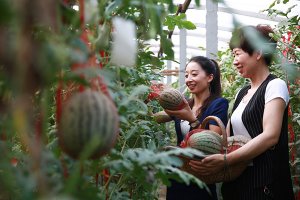 �ӱ�����ũ���ں�������巢չ