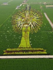 �������������Ե����Ļ�������ײ�ҵ�ӹ�