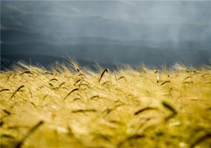 �½���������