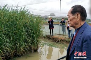 ���ӽ�ˮ��֮����Ԭ¡ƽ����֤һ�����ӵĸĸ￪��ʷ