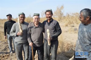 ����������:һ���Ӵ�Į��������