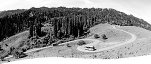 �ĸ￪��40���½�ũ�幫·����ɾͻԻ�