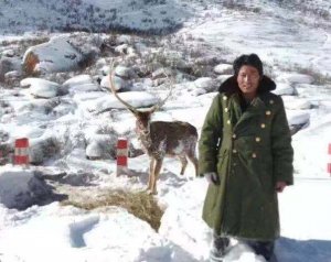 ����ѩ�� ��̬�ܻ�Ա����Ұ����������ϣ��