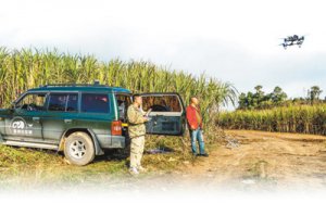 ��֪Ұ������ ���������ͻ:���Ա��ƽ�����Ҹ�Ұ�󵱡����ࡱ