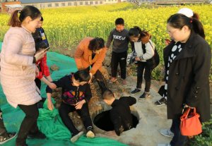 ���ϻ�����һ�Ҵ�С������񿾮�����������