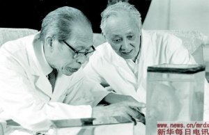 �й�������ֲ���������ġ���ֲ��