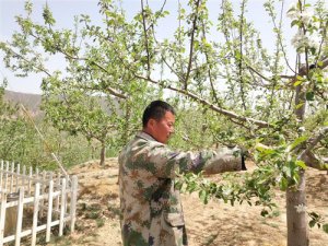 �Ӱ����������󡱷��񡰺��ҵ��