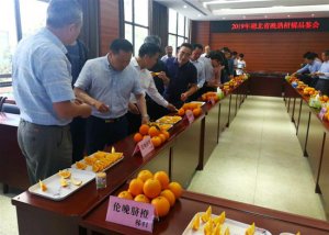 ���������л���ũ������������ٲ�ҵ��