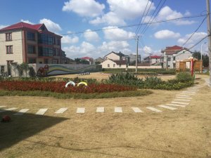 ������˽����� �Ϻ�������ͥԺ�����ƽ����������Щ�¾��飿