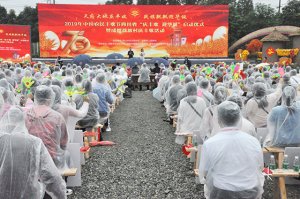 2019���й�ũ����ս��Ĵ�ʡ�������ӭ������������ʽ�ڳɶ���ۯ����ս���¡�ؾ���