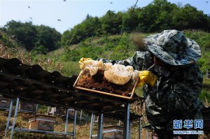 ���������ġ�սʿ������׷�ǵ�����ƶ����һ�ߵĹ����غ���פ���һ�����ΰ��