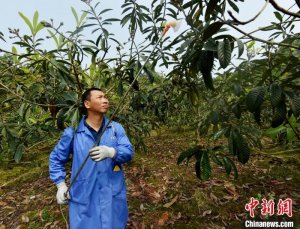 ���츢����������־�����԰ ������ɴ����¸���ͷ��