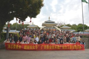 ������ҵ�����ƹ�վ��չ�����ˡ���Ů�ڻ